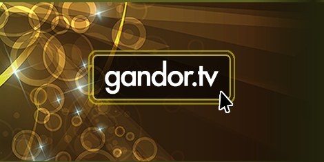 Gandor.tv website development