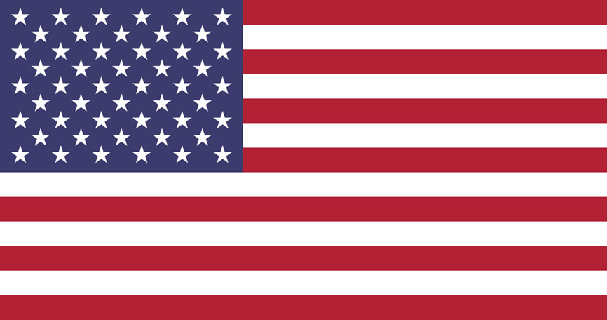 The USA flag